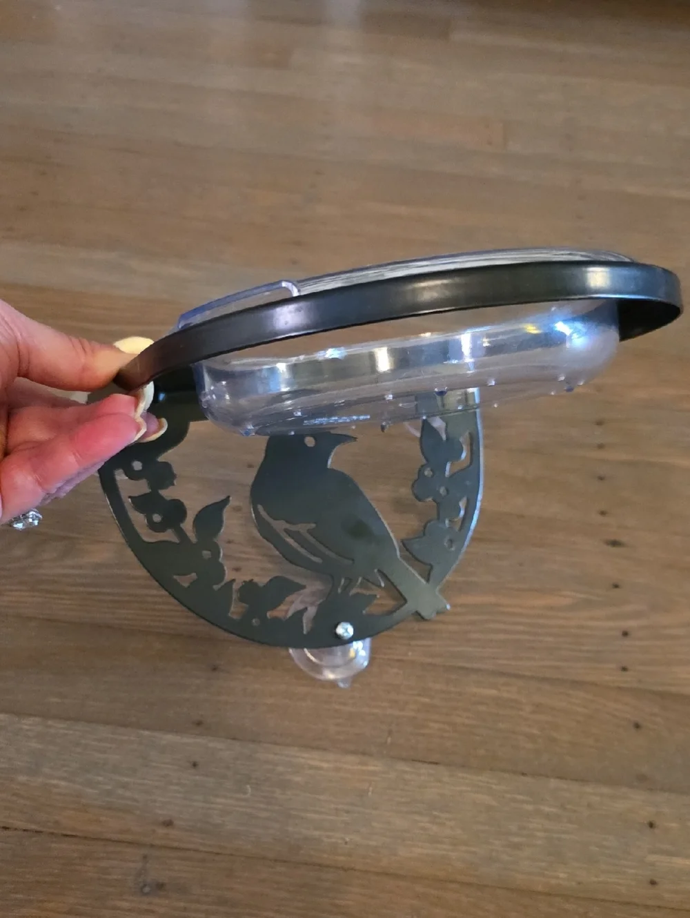 Droll Yankees: Decorative Window Bird Feeder. Metal. NEW